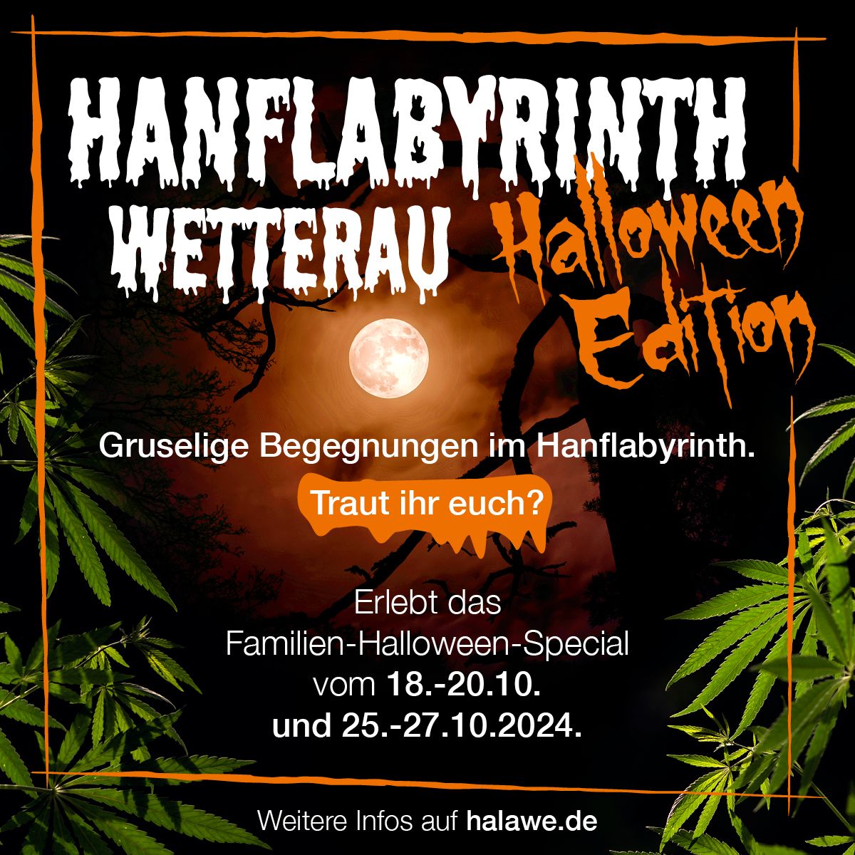 Halloween im Hanflabyrinth Wetterau