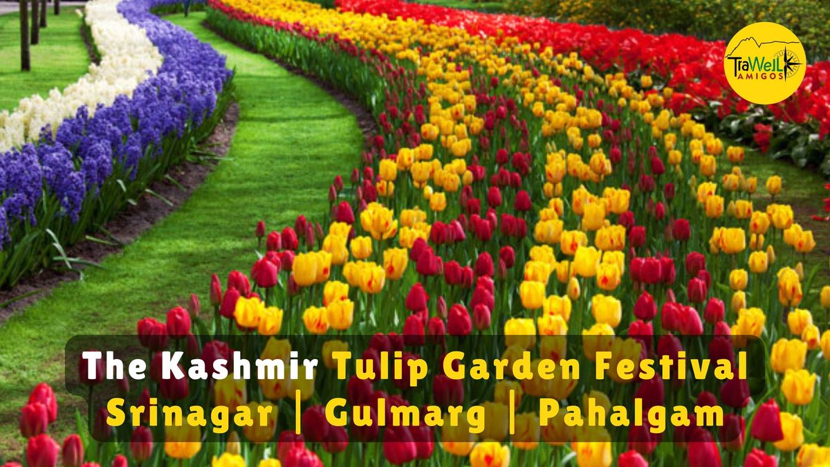 TraWell Amigos:: Tulip Garden Special and Srinagar Tour 2025