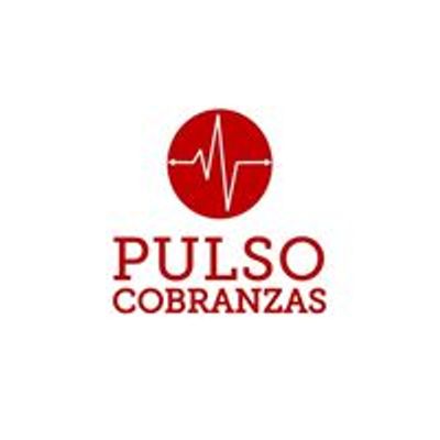 Pulso Cobranzas SA