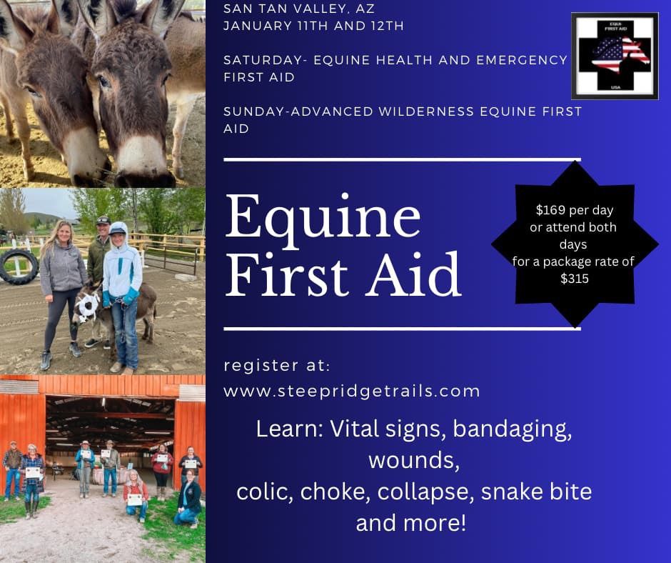 Equine Health and Emergency First Aid