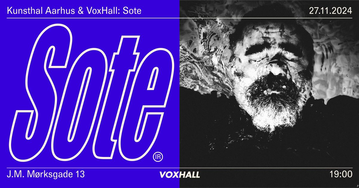 Kunsthal Aarhus & VoxHall: Sote