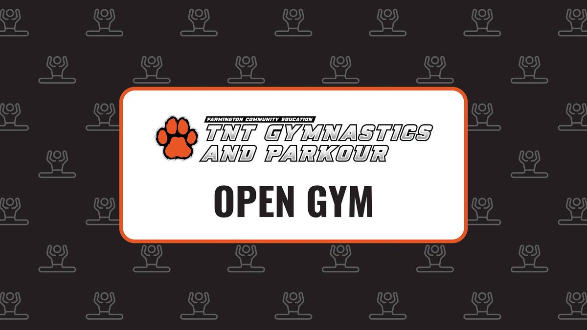 Preschool Open Gym