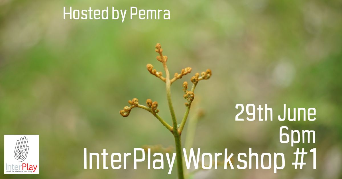 Workshop #1 Saturday 29th June - with Pemra