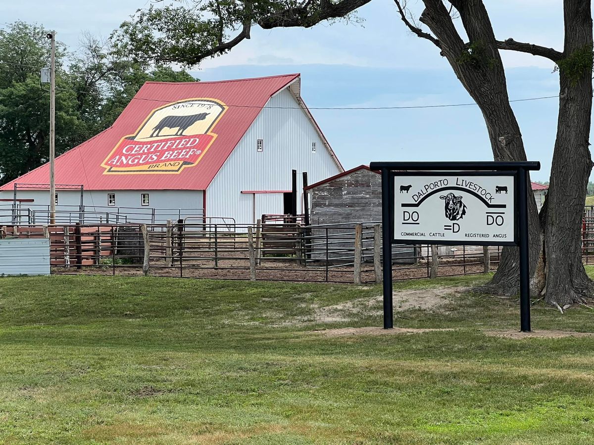 9th Annual Performance and ELITE Show Heifer & Steer Sale