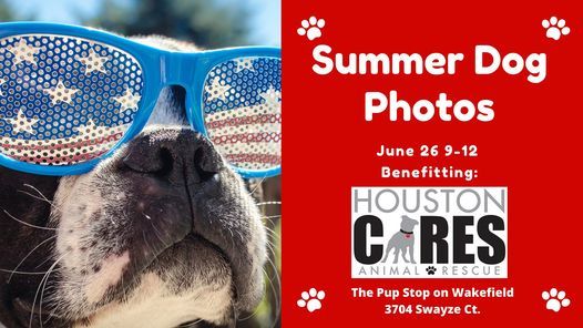 Summer Dog Photos benefitting Houston Cares Animal Rescue