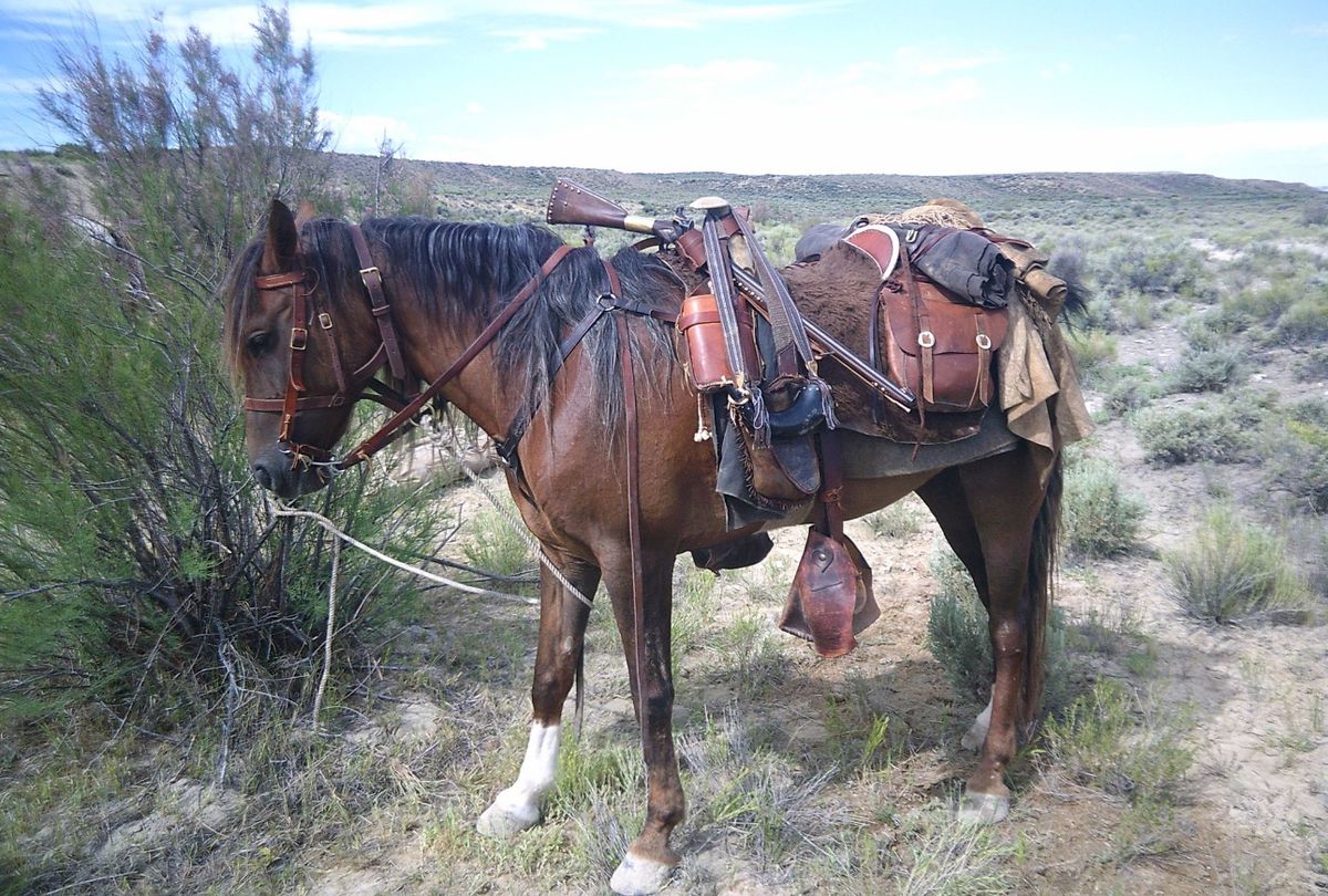 \u201cPacking Your Horse for Trekking\u201d - by Gerry Messmer