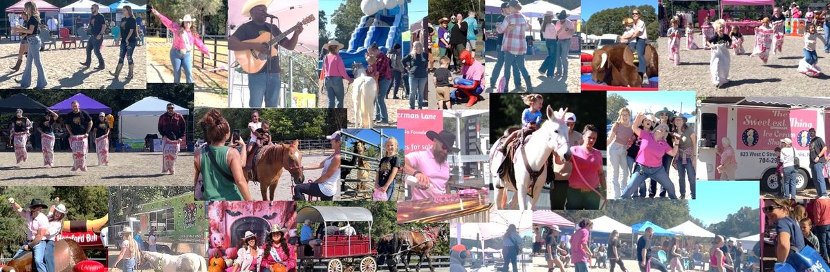 The Horse Lovers Day at Leatherman Lane Festival