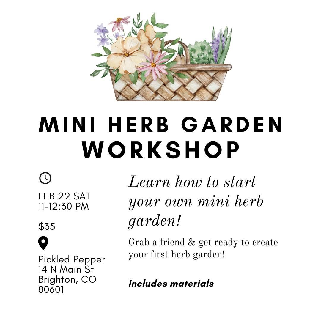 Mini Herb Garden Workshop