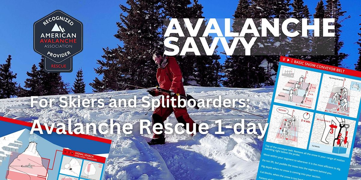 Avalanche Rescue : for Skiers and Split Boarders