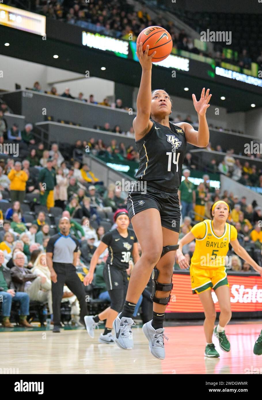 UCF Knights at Baylor Bears Womens Volleyball