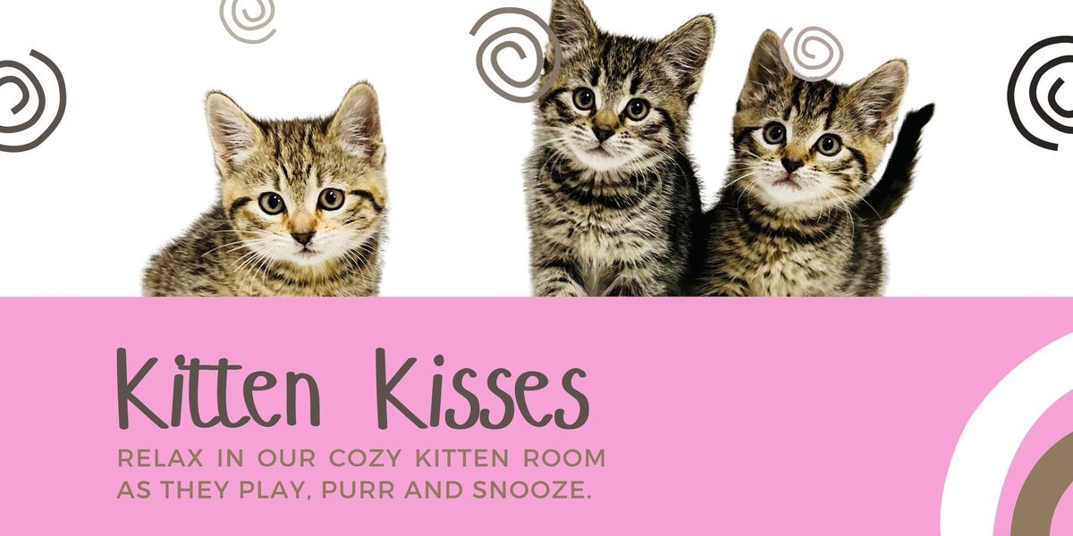 Kitten Kisses!