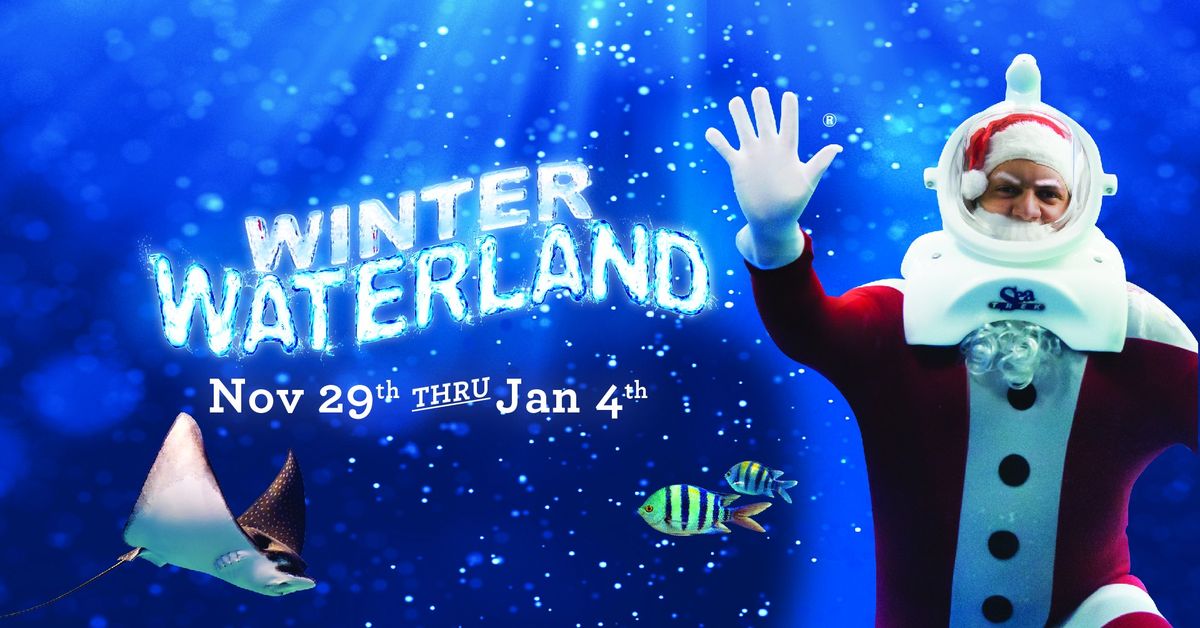 Winter Waterland