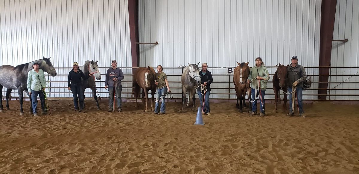 Horsemanship Foundations - Level One Clinic with Licensed Parelli Horsemanship Instructor