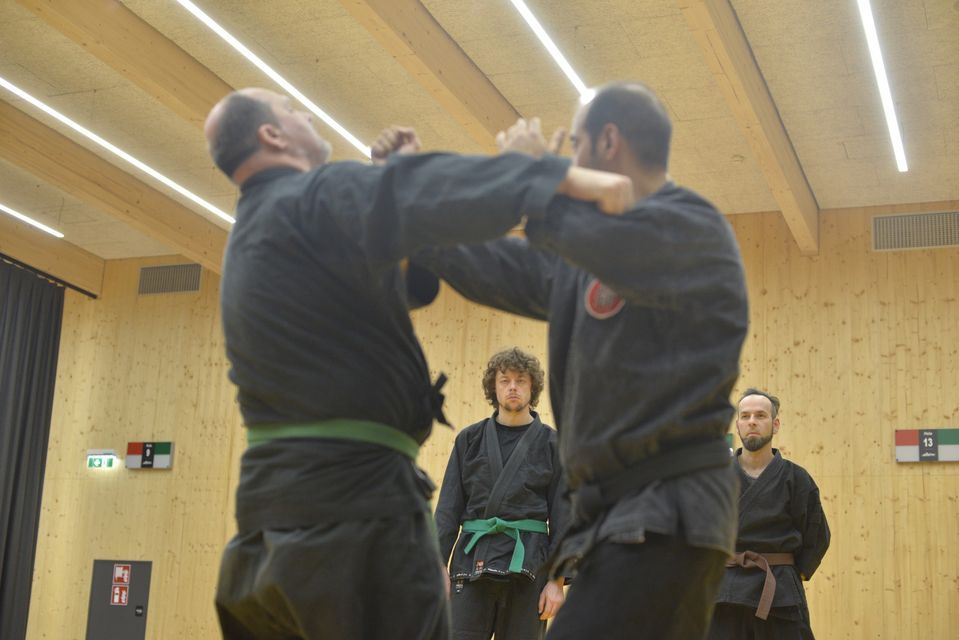 Schnuppertraining Bujinkan Dojo Graz, Raiffeisen Sportpark Graz, 3 ...