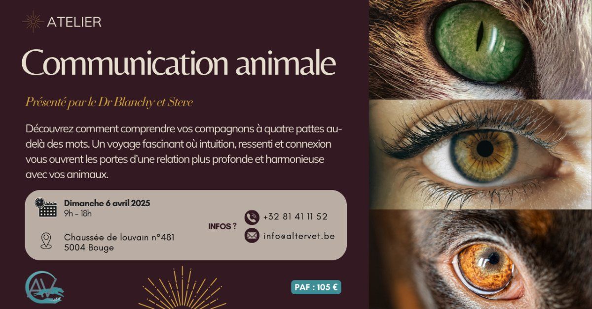 ATELIER \/ Communication animale