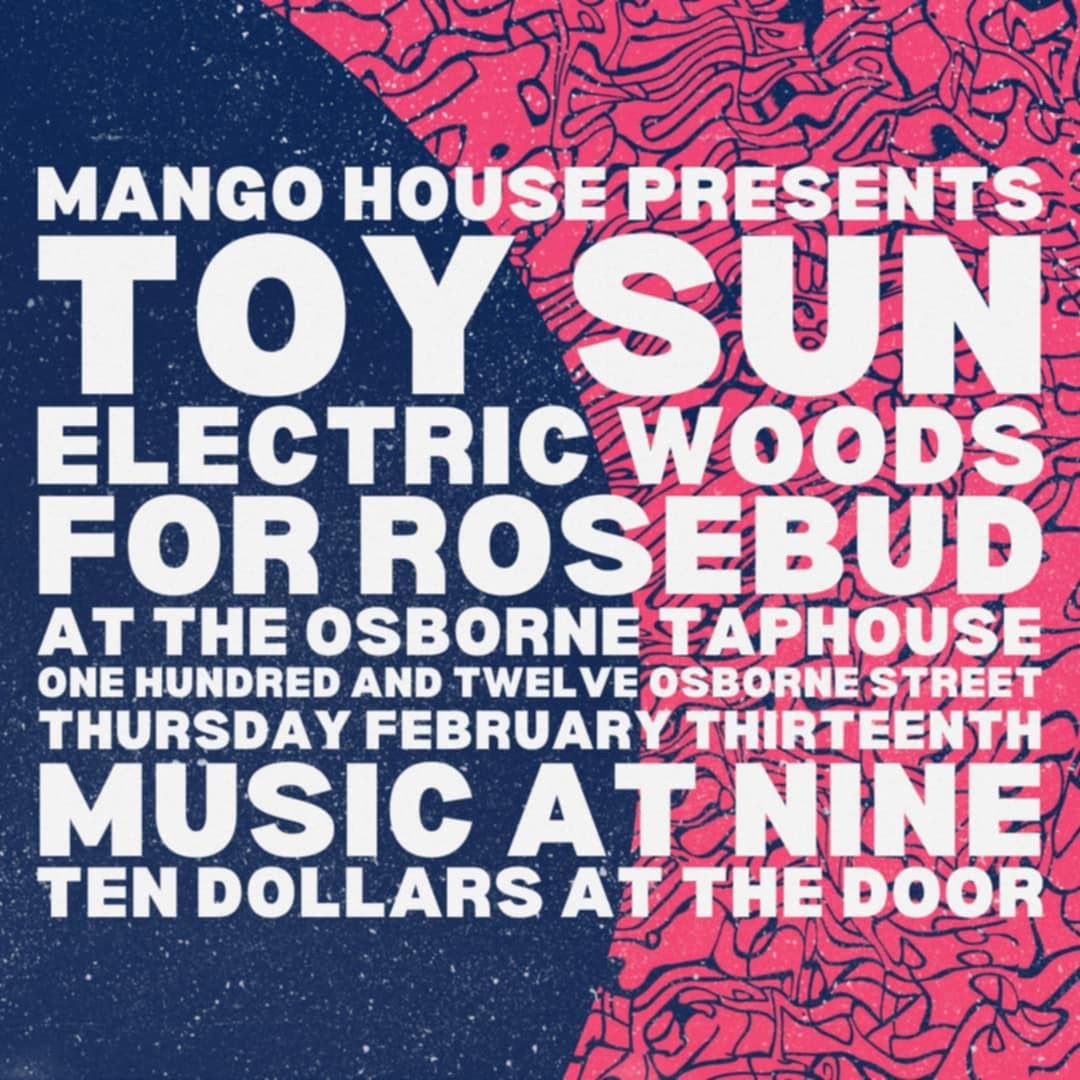 Toy Sun, Electric Woods, For Rosebud Live at Osborne Taphouse!