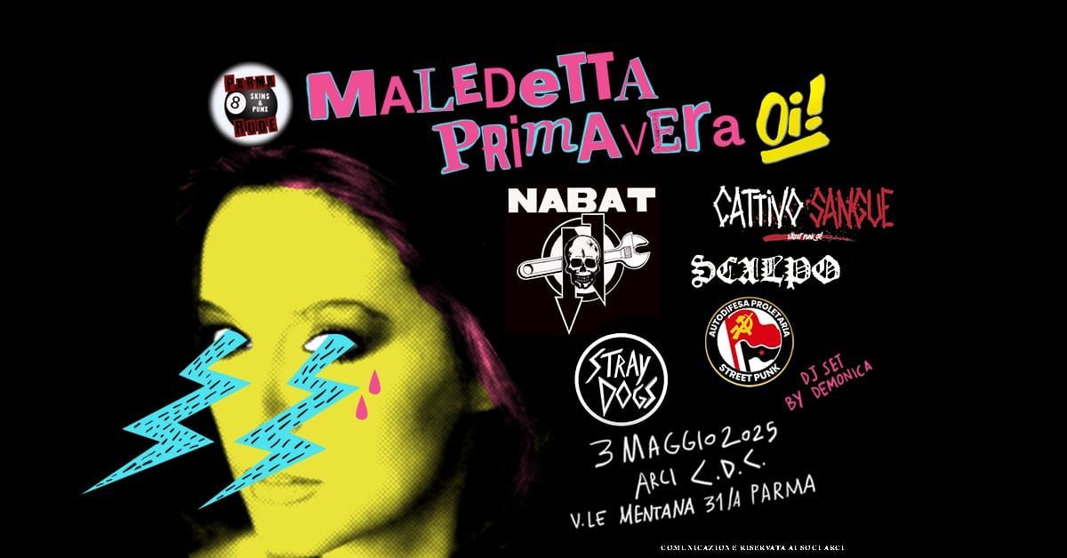 MALEDETTA PRIMAVERA OI!