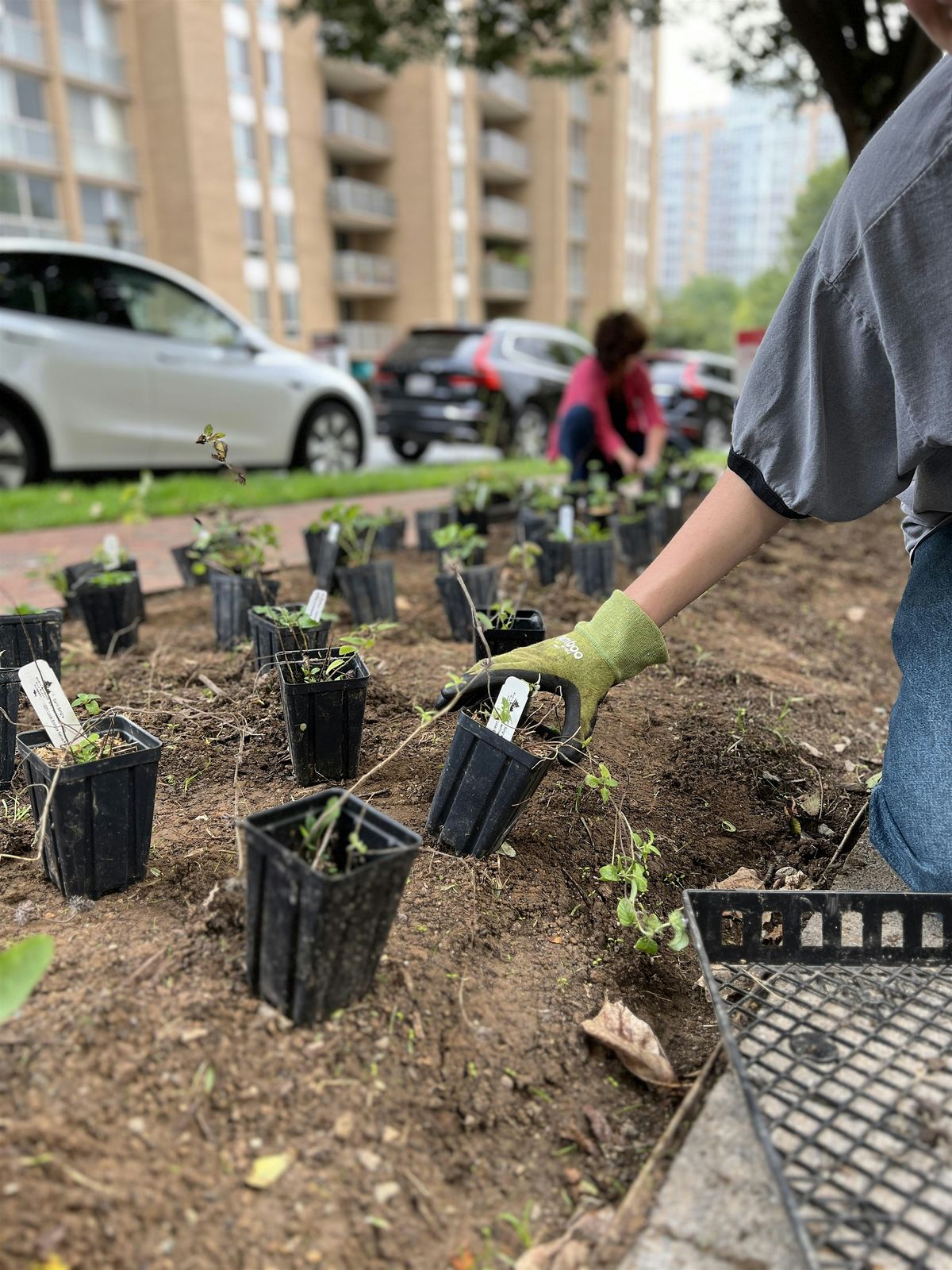 Winter Sowing Workshop