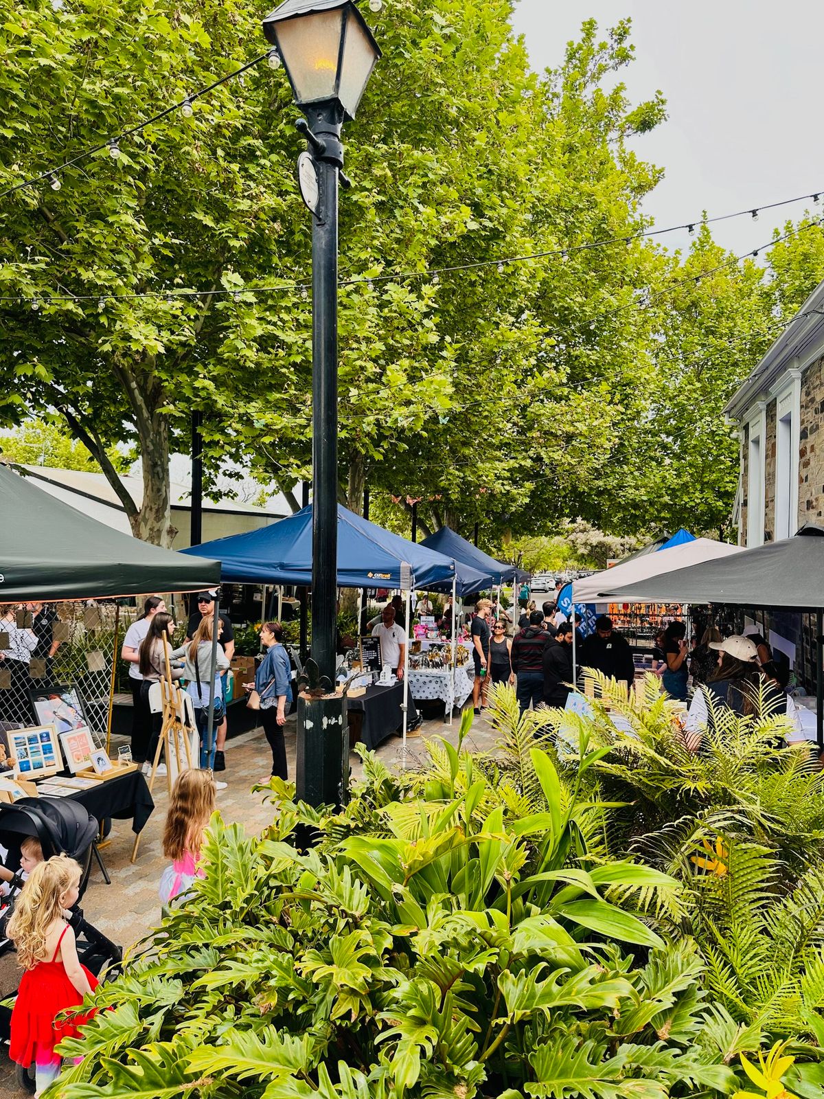 Summer Markets in Prospect