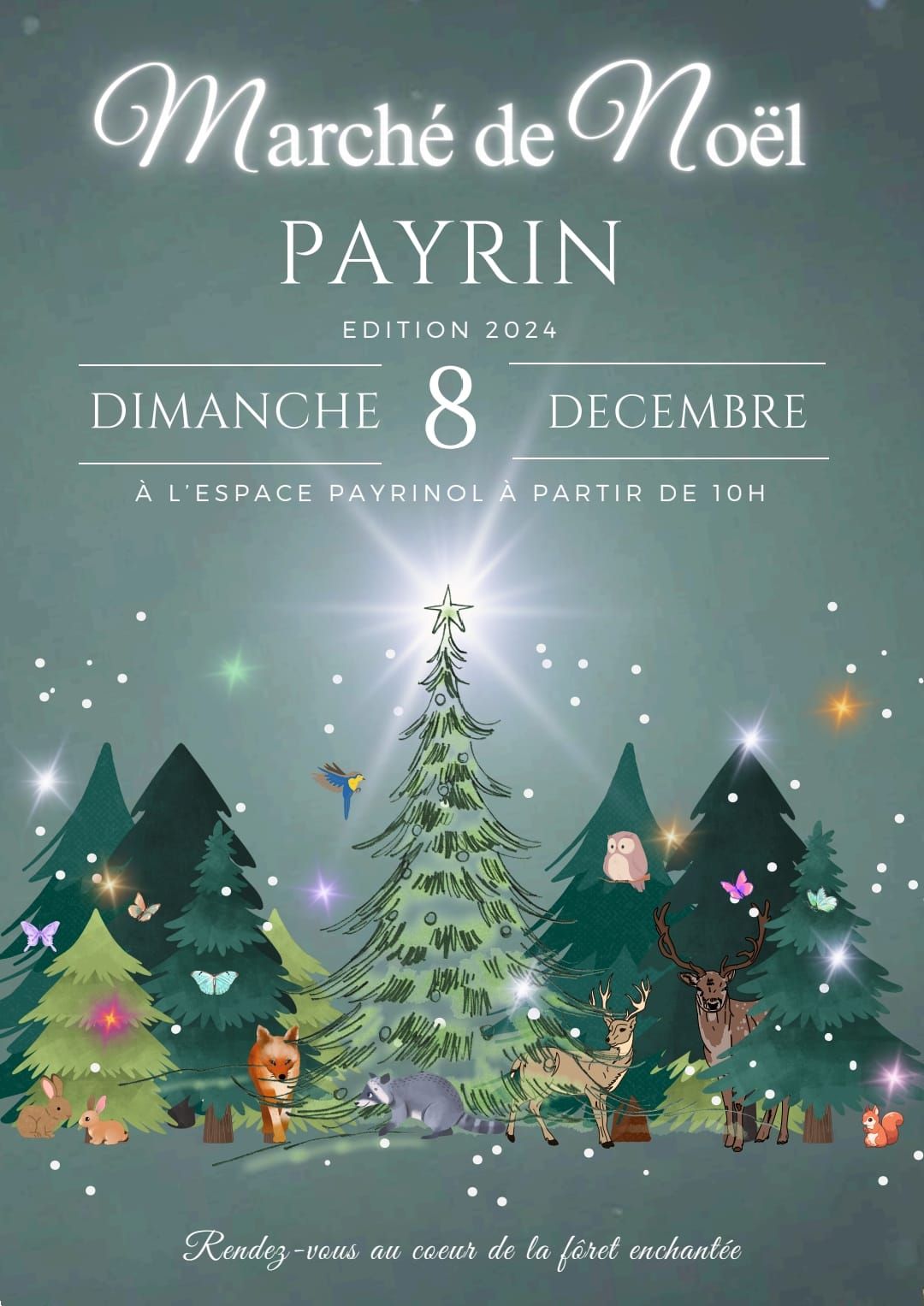 March\u00e9 de noel des Associations de Payrin