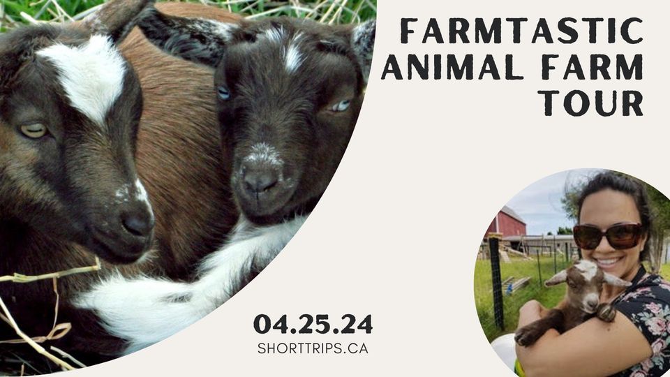  Farmtastic Animal Farm Tour in lovely springtime! Lunch included. 