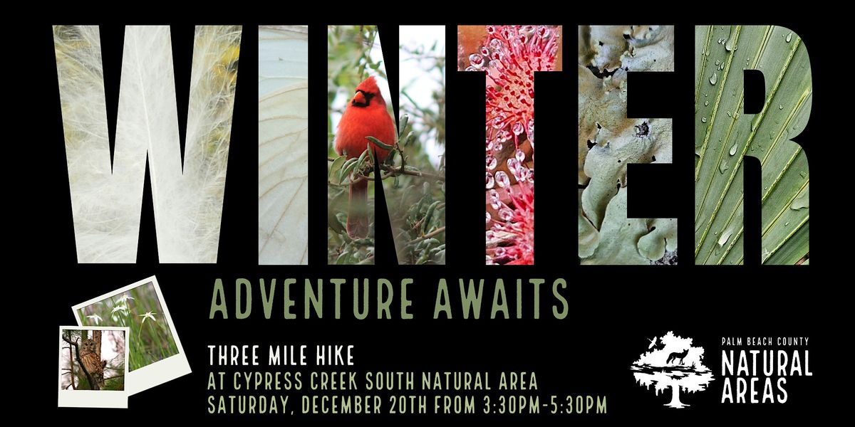 Adventure Awaits - Hike at Cypress Creek South Natural Area