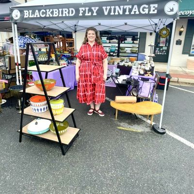 Blackbird Fly Vintage