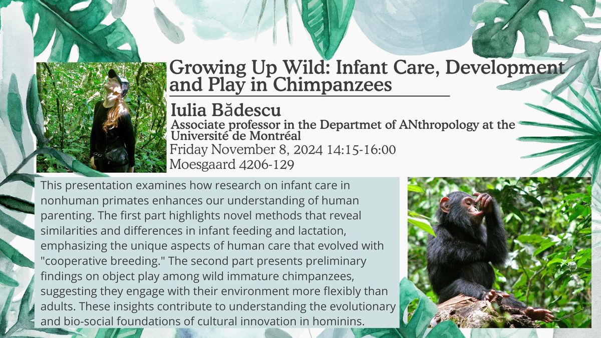 Growing Up Wild: Infant Care, Development and Play in Chimpanzees