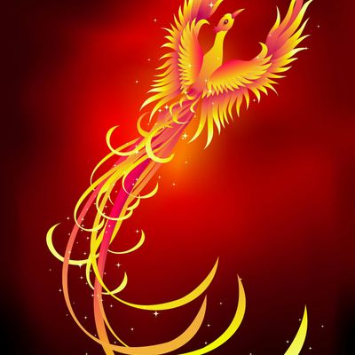 Rare Phoenix Rising Wellness