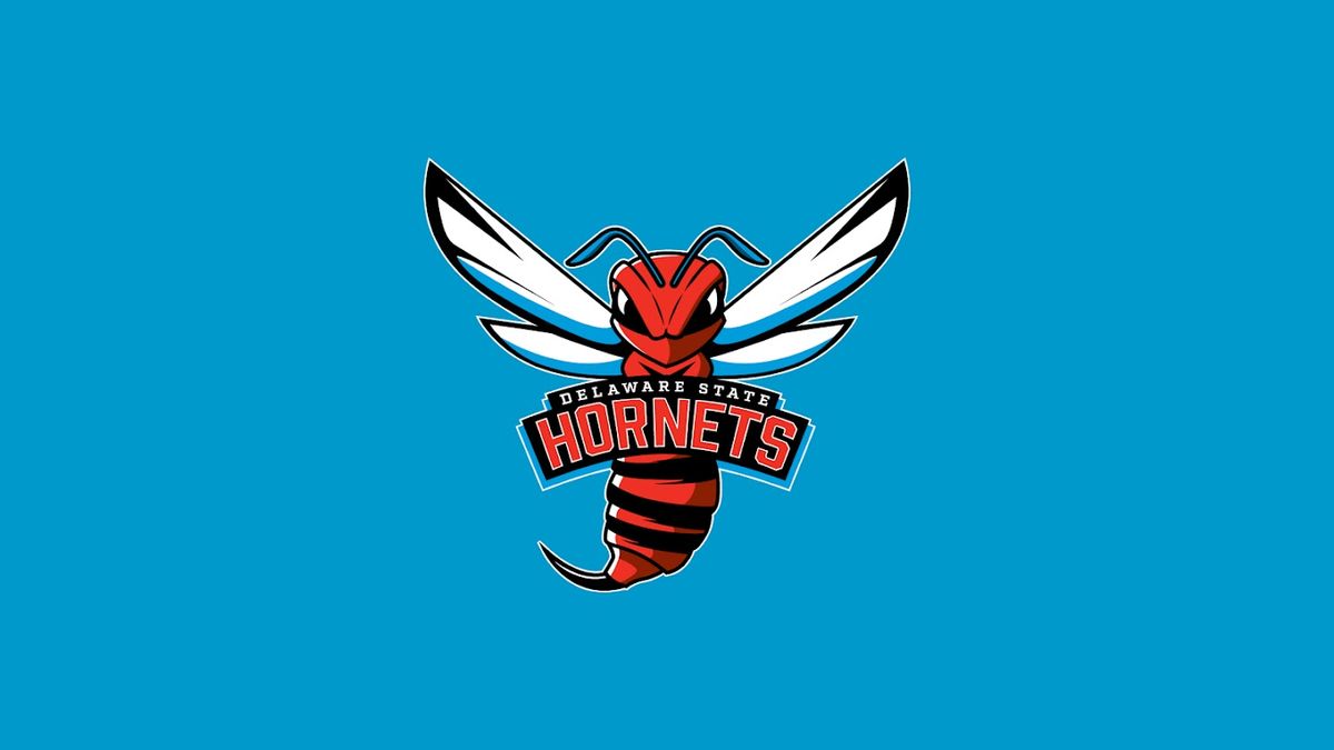 Niagara Purple Eagles at Morgan State Bears Mens Basketball