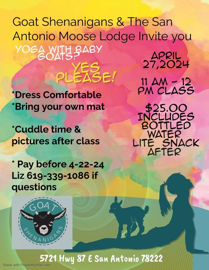 Goat Yoga at San Antonio Moose Lodge (open to public)