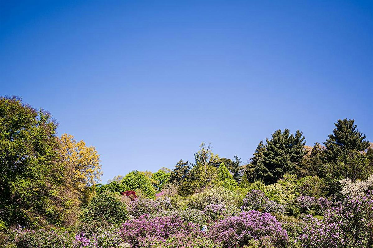 Highland Park History Walking Tour at the Rochester Lilac Festival