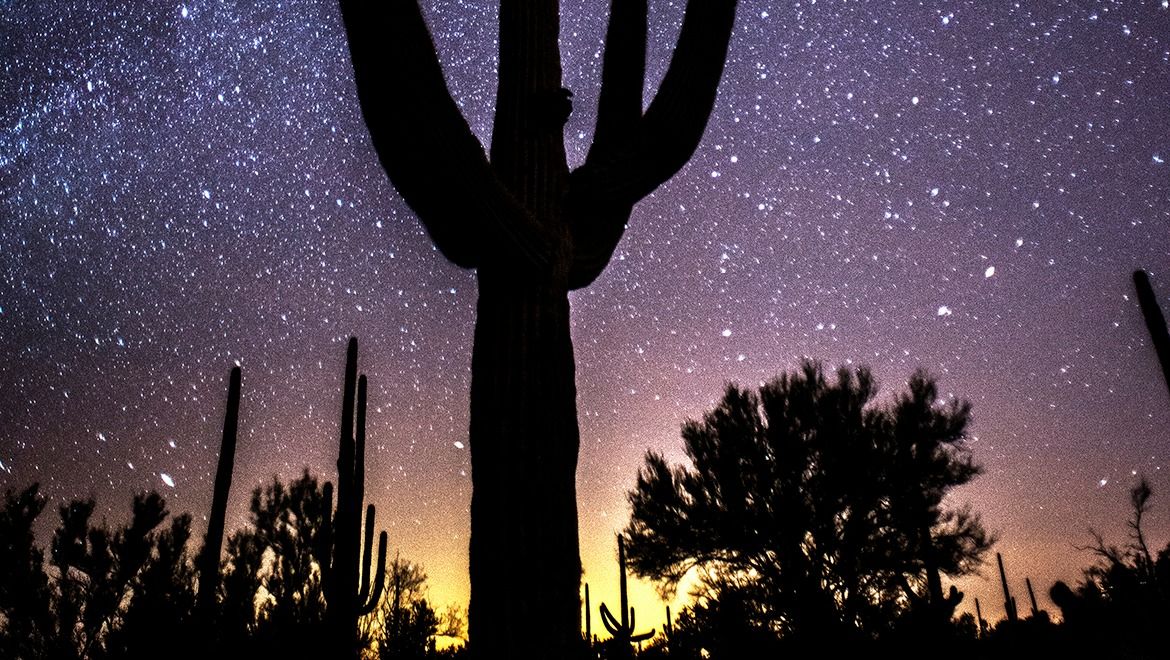 Omni Signature Experience - Starry Skies Dinner