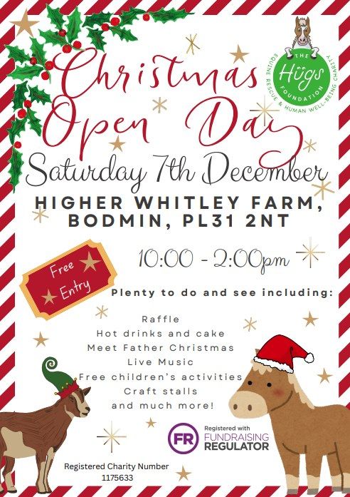 The Hugs Foundation Christmas Open Day 