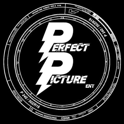 PERFECT PICTURE ENTT