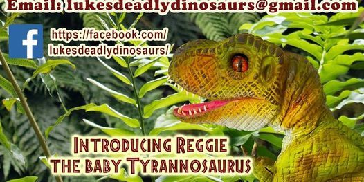 Luke's Deadly Dinosaurs - Suitable for all ages