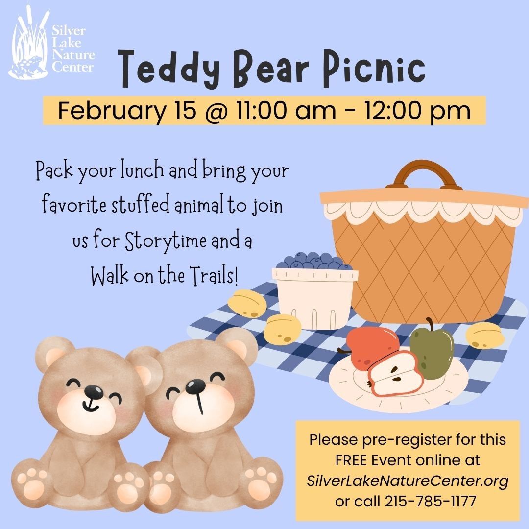 Teddy Bear Picnic