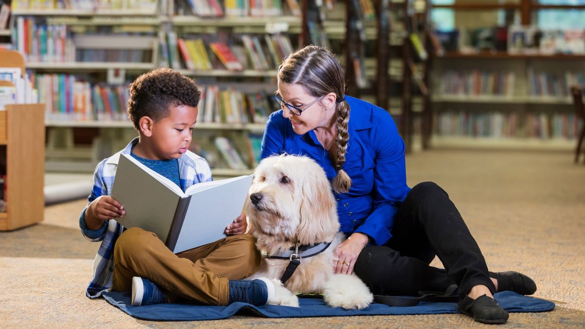 Ruff Readers