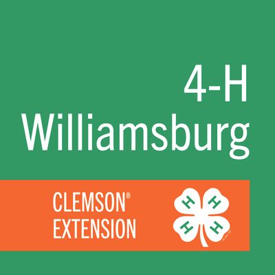 Williamsburg County 4-H