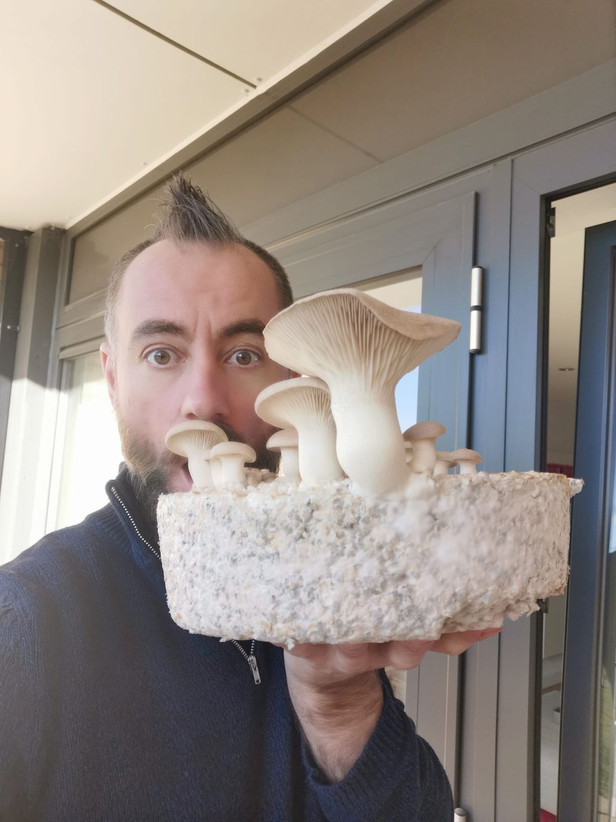 Geelong Fungal Wizardry for Beginners - Morning Workshops