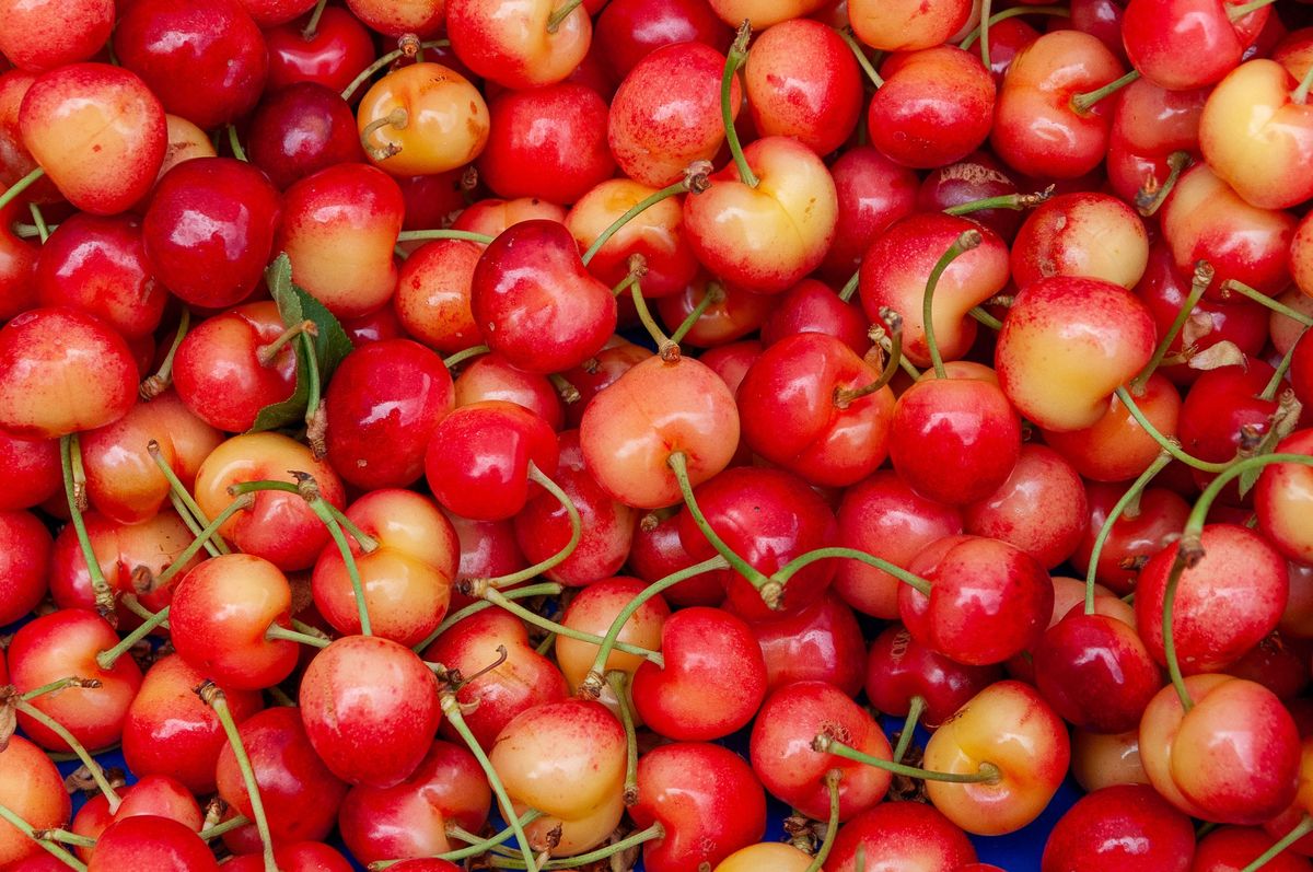 OPENING DAY - ELLENSBURG FARMERS MARKET 2025