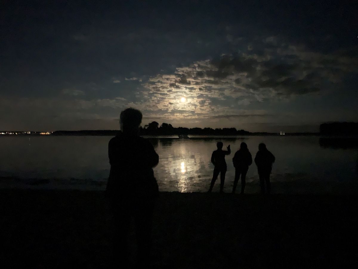 RSPB Arne Women Only Full Moon Walks