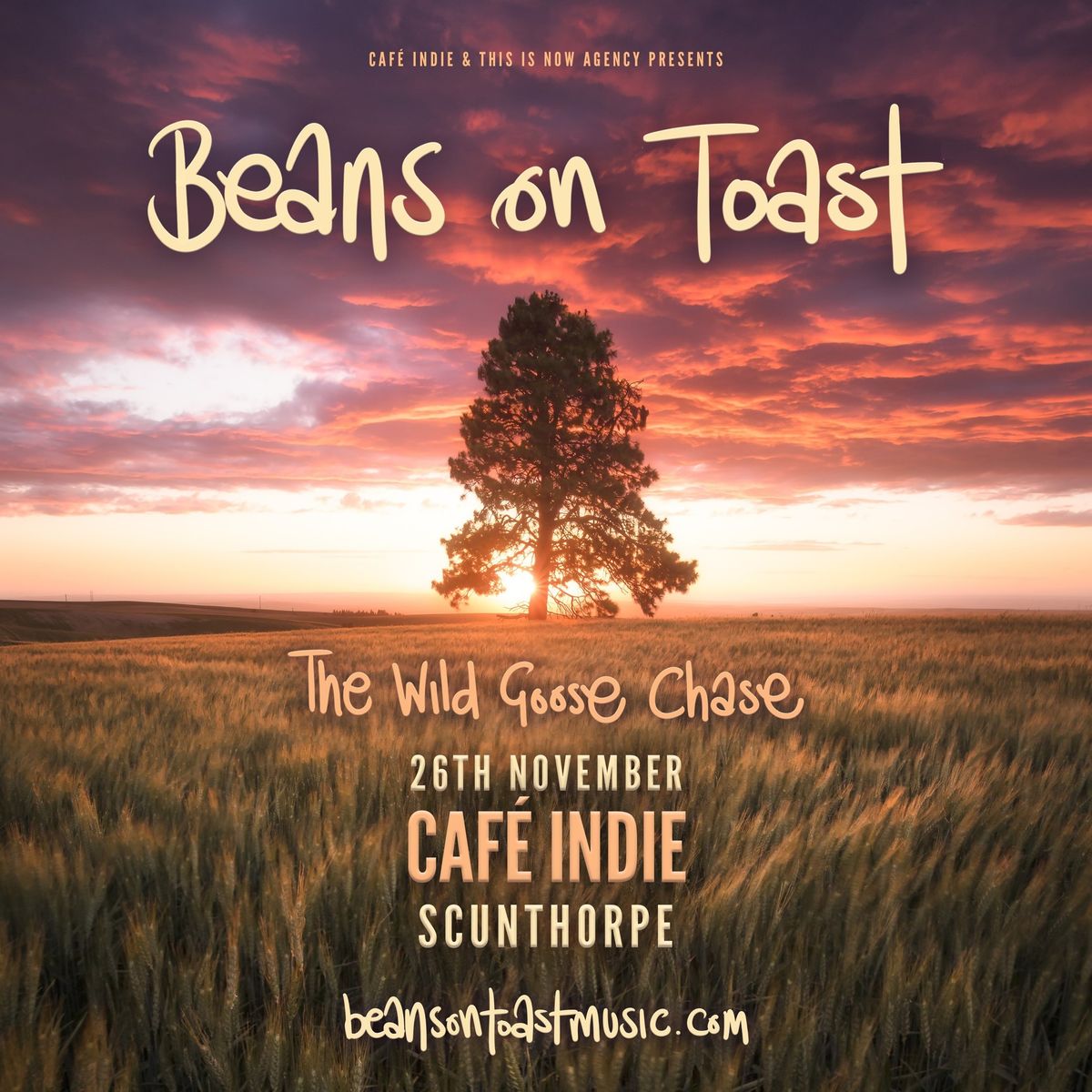 Beans on Toast - The Wild Goose Chase Tour