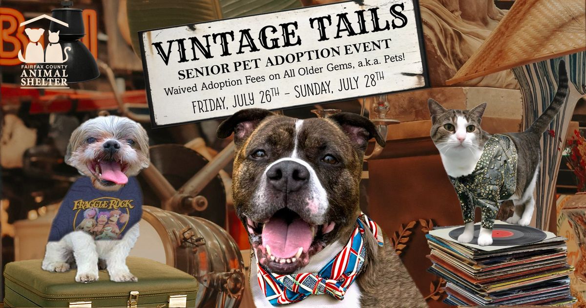 Vintage Tails: Senior Pet Fee-Waived Adoption Event