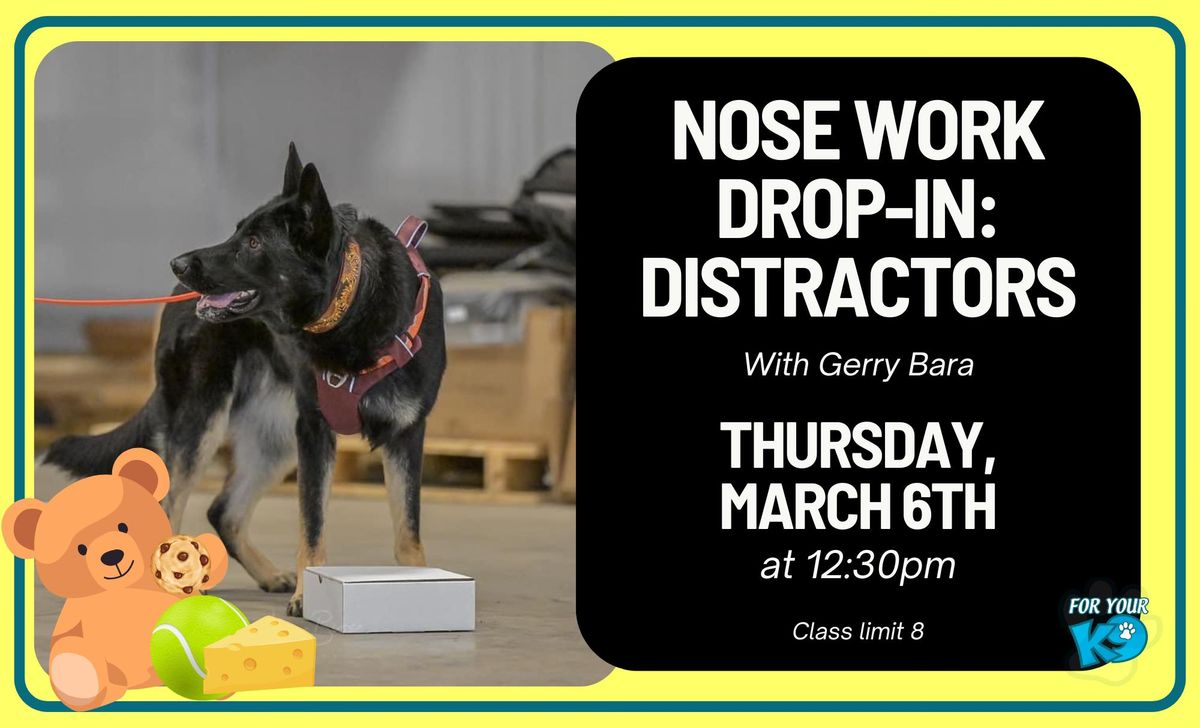 Nose Work Drop-In: Distractors