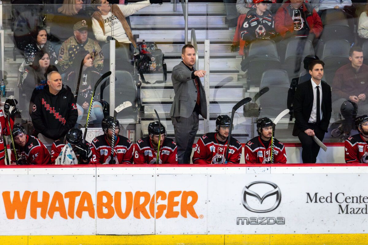 Birmingham Bulls at Evansville Thunderbolts at Ford Center Evansville