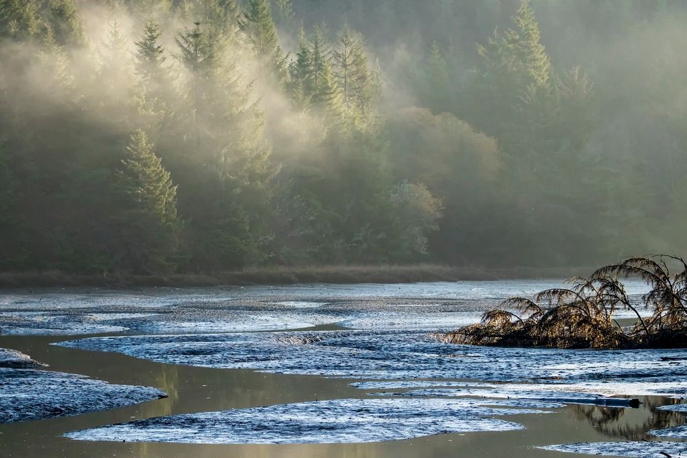 Teacher Training: Monitoring the Yaquina River to the Sea