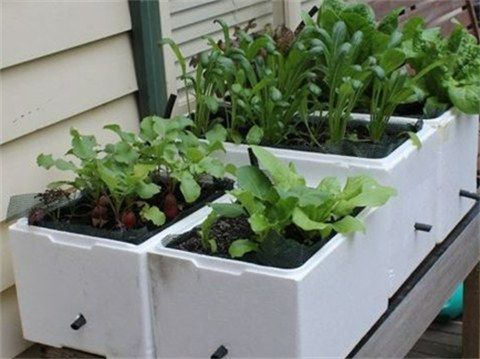 Low Waste Sustainable Living: Wicking Beds in Small Spaces