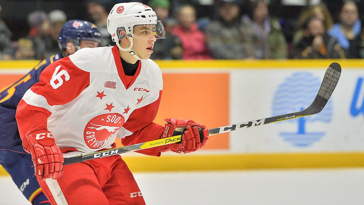 Brampton Steelheads at Sault Ste Marie Greyhounds