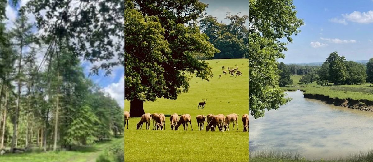 CYM Woburn Deer Park Circular Walk - Sunday 23rd March